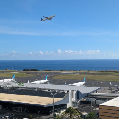 DLD 556: Asian Influence