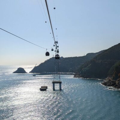 DLD 563: Busan or Bust