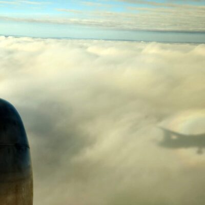 DLD 564: Longing for COBOL