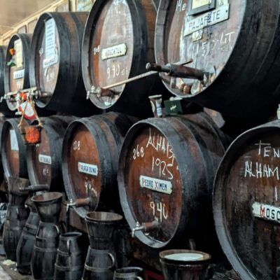 DLD 570: MalaGa(lavanting)