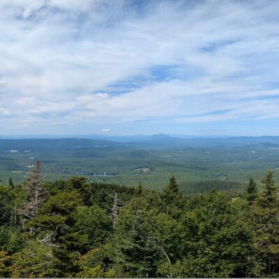panorama of blue skies over green forests
